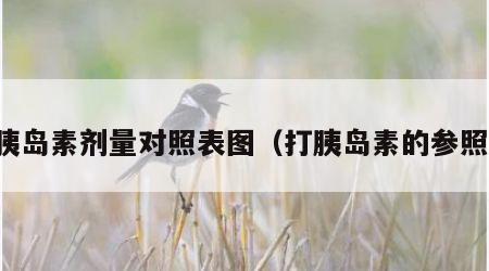 打胰岛素剂量对照表图（打胰岛素的参照表）