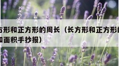 长方形和正方形的周长（长方形和正方形的周长和面积手抄报）