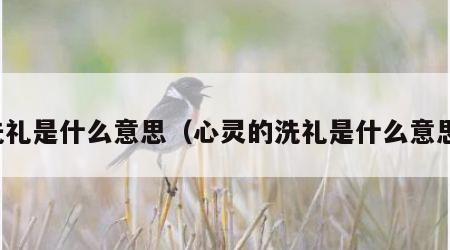 洗礼是什么意思（心灵的洗礼是什么意思）