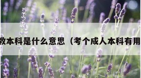 成教本科是什么意思（考个成人本科有用吗）