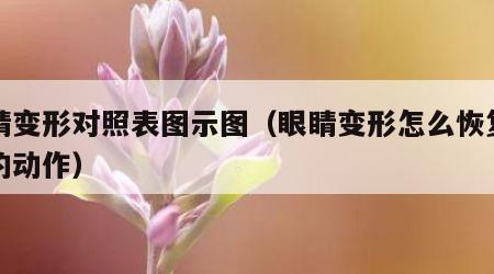 眼睛变形对照表图示图（眼睛变形怎么恢复窍门的动作）