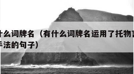 有什么词牌名（有什么词牌名运用了托物言志的手法的句子）