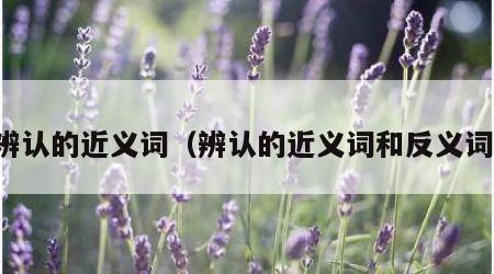 辨认的近义词（辨认的近义词和反义词）