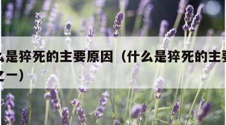 什么是猝死的主要原因（什么是猝死的主要原因之一）