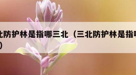 三北防护林是指哪三北（三北防护林是指哪三北?）