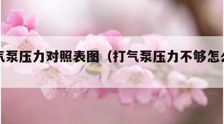 打气泵压力对照表图（打气泵压力不够怎么办）