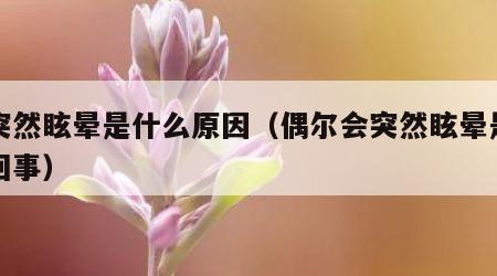 人突然眩晕是什么原因（偶尔会突然眩晕是怎么回事）
