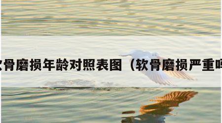 软骨磨损年龄对照表图（软骨磨损严重吗）