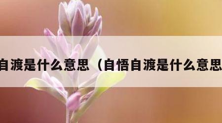 自渡是什么意思（自悟自渡是什么意思）
