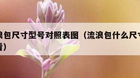 流浪包尺寸型号对照表图（流浪包什么尺寸最好看）