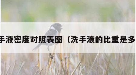 洗手液密度对照表图（洗手液的比重是多少）