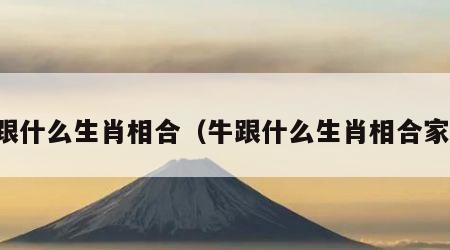 牛跟什么生肖相合（牛跟什么生肖相合家人）