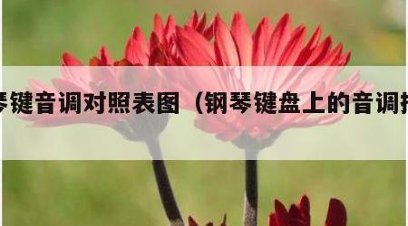钢琴键音调对照表图（钢琴键盘上的音调排序图）