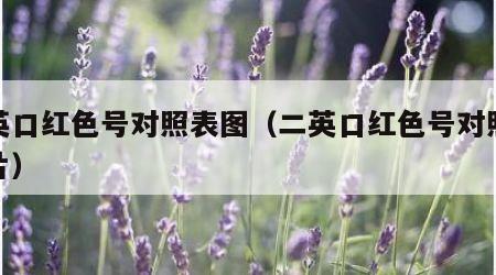 二英口红色号对照表图（二英口红色号对照表图片）