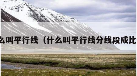什么叫平行线（什么叫平行线分线段成比例）