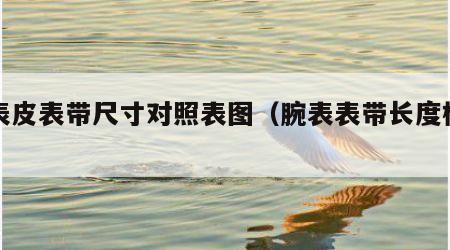 腕表皮表带尺寸对照表图（腕表表带长度标准）