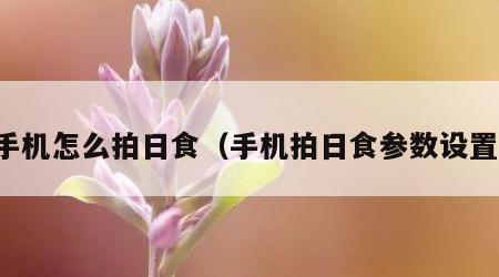 手机怎么拍日食（手机拍日食参数设置）