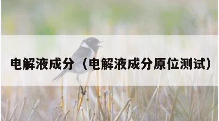 电解液成分（电解液成分原位测试）