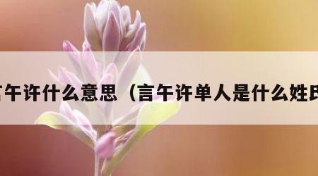 言午许什么意思（言午许单人是什么姓氏）