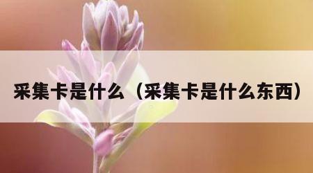 采集卡是什么（采集卡是什么东西）
