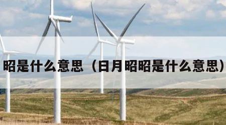 昭是什么意思（日月昭昭是什么意思）