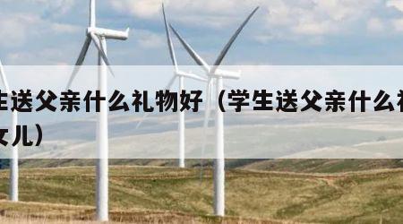 学生送父亲什么礼物好（学生送父亲什么礼物好女儿）