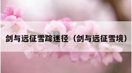 剑与远征雪踪迷径（剑与远征雪境）