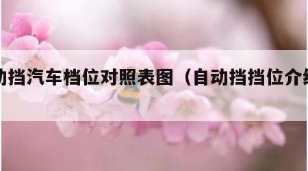 自动挡汽车档位对照表图（自动挡挡位介绍使用）