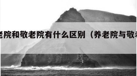 养老院和敬老院有什么区别（养老院与敬老院）