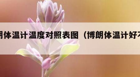 博朗体温计温度对照表图（博朗体温计好不好）