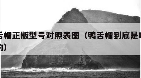鸭舌帽正版型号对照表图（鸭舌帽到底是啥样子的）