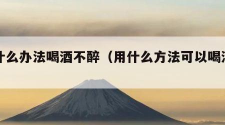 有什么办法喝酒不醉（用什么方法可以喝酒不醉）