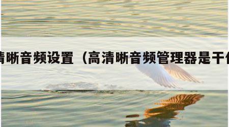 高清晰音频设置（高清晰音频管理器是干什么的）