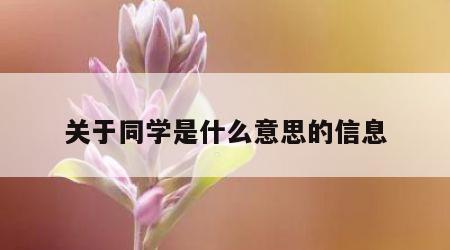 关于同学是什么意思的信息