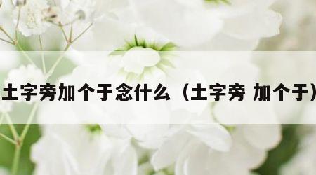 土字旁加个于念什么（土字旁 加个于）