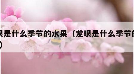 龙眼是什么季节的水果（龙眼是什么季节的水果?）