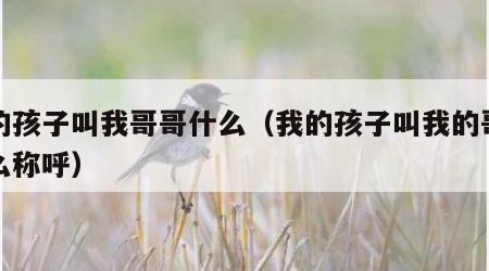 我的孩子叫我哥哥什么（我的孩子叫我的哥哥怎么称呼）