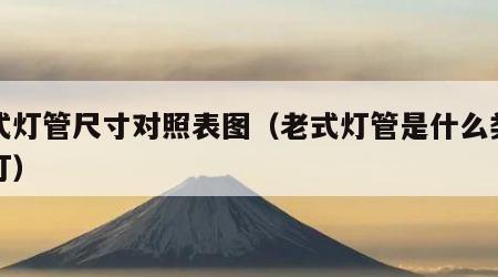 老式灯管尺寸对照表图（老式灯管是什么类型的灯）