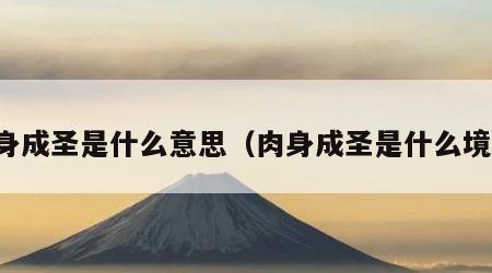 肉身成圣是什么意思（肉身成圣是什么境界）