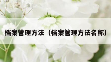 档案管理方法（档案管理方法名称）