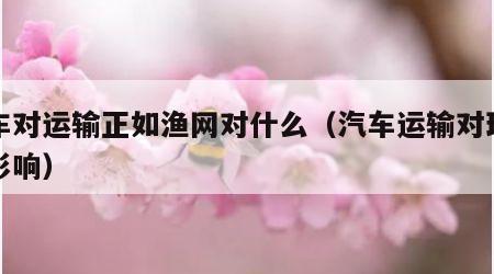 汽车对运输正如渔网对什么（汽车运输对环境的影响）