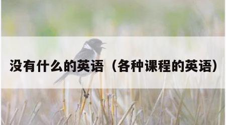 没有什么的英语（各种课程的英语）