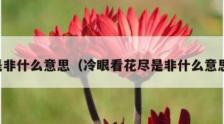 是非什么意思（冷眼看花尽是非什么意思）
