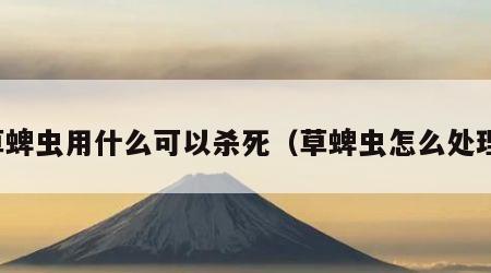 草蜱虫用什么可以杀死（草蜱虫怎么处理）