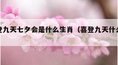 喜登九天七夕会是什么生肖（喜登九天什么意思）