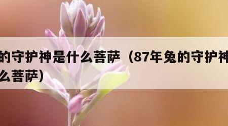 兔的守护神是什么菩萨（87年兔的守护神是什么菩萨）