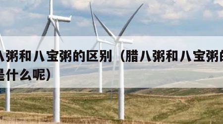 腊八粥和八宝粥的区别（腊八粥和八宝粥的区别是什么呢）