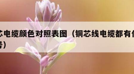 铜芯电缆颜色对照表图（铜芯线电缆都有什么型号）