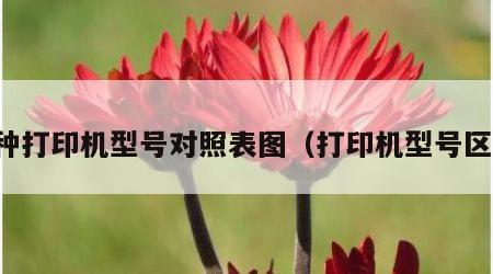 各种打印机型号对照表图（打印机型号区别）