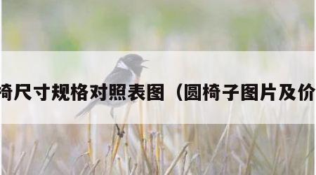 圆椅尺寸规格对照表图（圆椅子图片及价格）